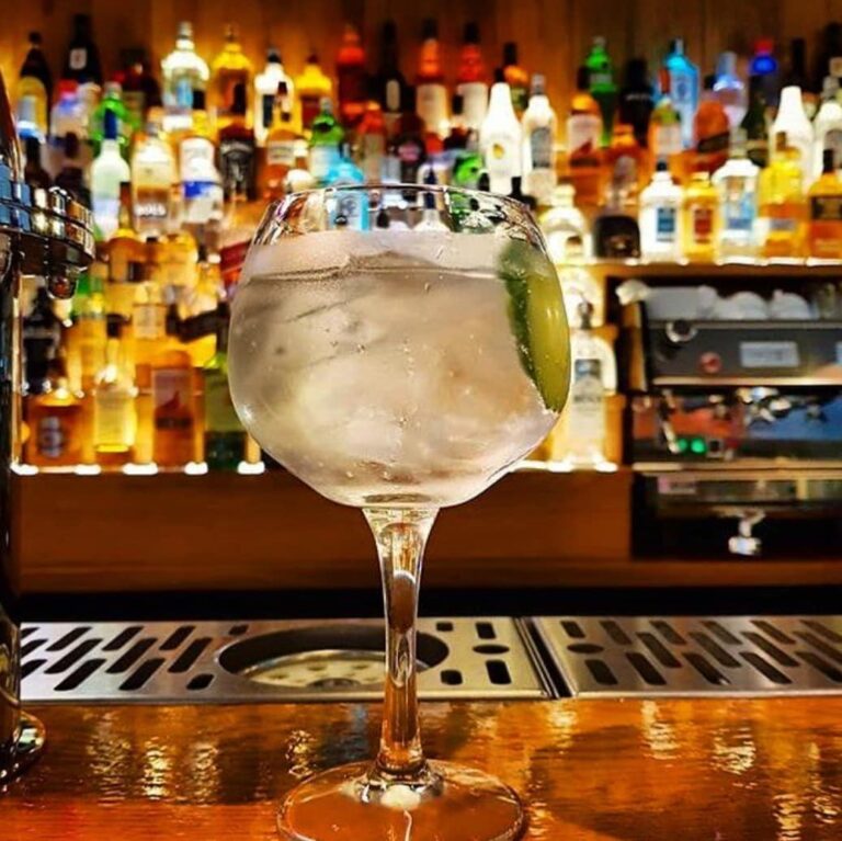 A picture of a gin and tonic