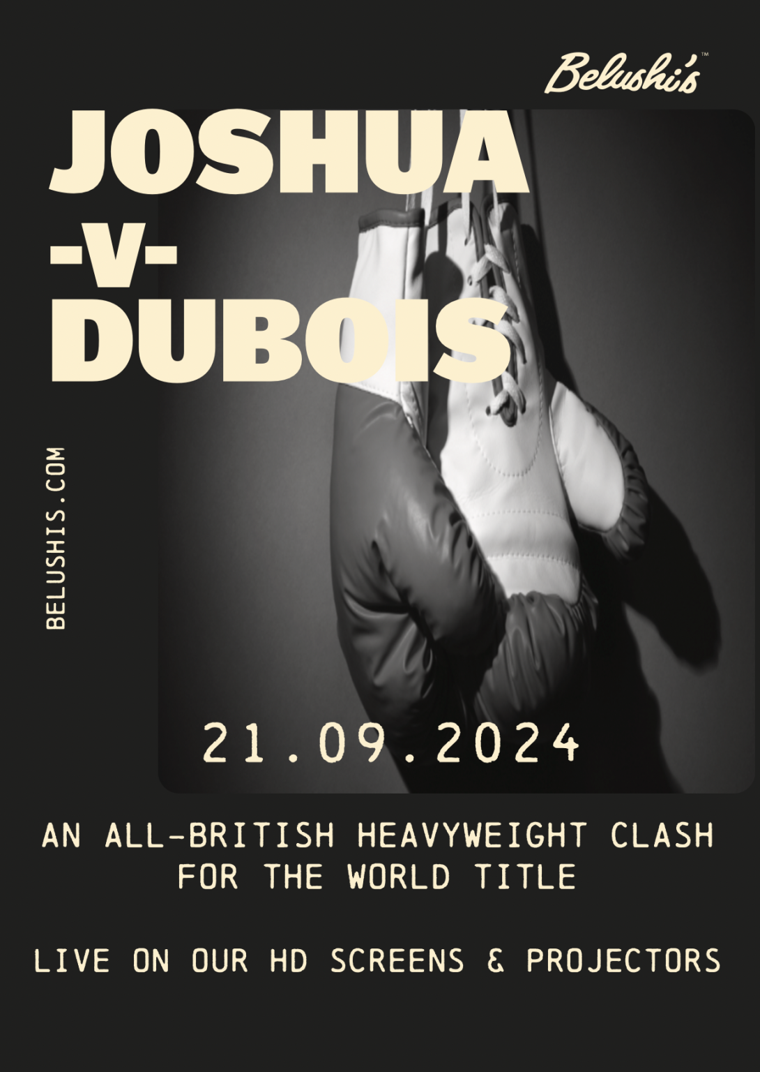 Joshua v Dubois promotional poster