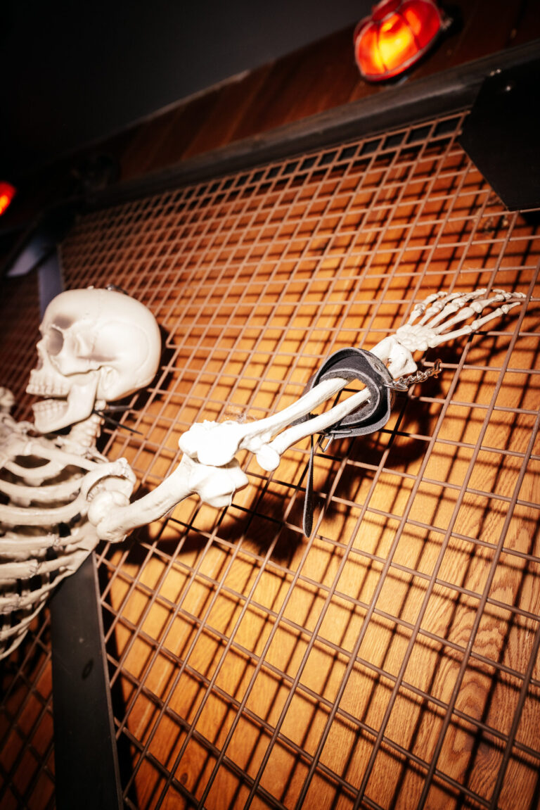Skeleton model with exposed joints on a metal grid under warm lighting, highlighting bones and skull.
